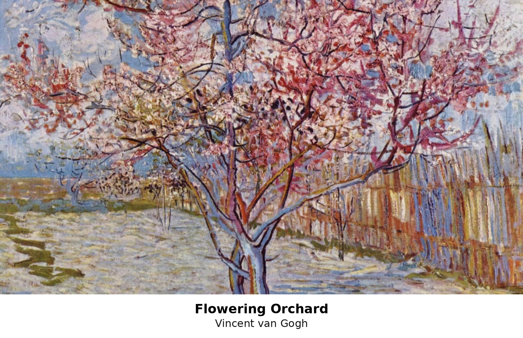Flowering Orchard by Vincent van Gogh with caption